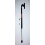Order Lift Support by FCS AUTOMOTIVE - 84815 For Your Vehicle