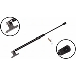 Order Lift Support by FCS AUTOMOTIVE - 84815 For Your Vehicle