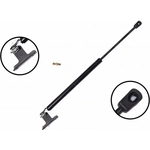 Order Lift Support by FCS AUTOMOTIVE - 84816 For Your Vehicle