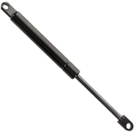 Order Lift Support by FCS AUTOMOTIVE - 84817 For Your Vehicle