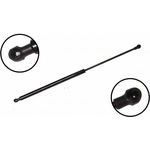 Order Lift Support by FCS AUTOMOTIVE - 84825 For Your Vehicle