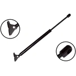 Order Lift Support by FCS AUTOMOTIVE - 84856 For Your Vehicle