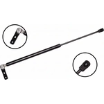 Order Lift Support by FCS AUTOMOTIVE - 84869R For Your Vehicle