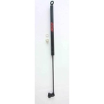Order FCS AUTOMOTIVE - 84870R - Lift Support For Your Vehicle