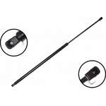 Order Lift Support by FCS AUTOMOTIVE - 84903 For Your Vehicle