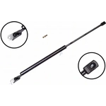 Order Lift Support by FCS AUTOMOTIVE - 84951L For Your Vehicle