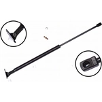 Order Lift Support by FCS AUTOMOTIVE - 84951R For Your Vehicle