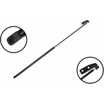 Order Lift Support by FCS AUTOMOTIVE - 84952L For Your Vehicle