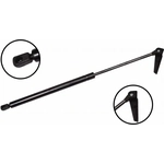 Order Lift Support by FCS AUTOMOTIVE - 84955R For Your Vehicle