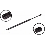 Order Lift Support by FCS AUTOMOTIVE - 84964 For Your Vehicle