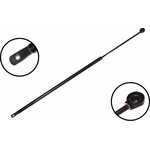 Order Lift Support by FCS AUTOMOTIVE - 84967 For Your Vehicle