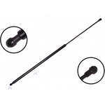 Order Lift Support by FCS AUTOMOTIVE - 84973 For Your Vehicle