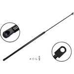 Order Lift Support by FCS AUTOMOTIVE - 84979 For Your Vehicle