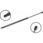 Order Lift Support by FCS AUTOMOTIVE - 84995 For Your Vehicle