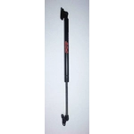 Order FCS AUTOMOTIVE - 86102 - Lift Support For Your Vehicle