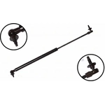 Order Lift Support by FCS AUTOMOTIVE - 86104 For Your Vehicle