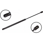 Order Lift Support by FCS AUTOMOTIVE - 86105 For Your Vehicle