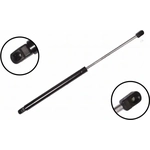 Order Lift Support by FCS AUTOMOTIVE - 86106 For Your Vehicle