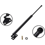 Order Lift Support by FCS AUTOMOTIVE - 86107 For Your Vehicle