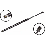 Order FCS AUTOMOTIVE - 86110 - Lift Support For Your Vehicle