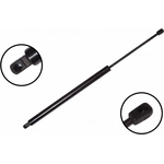 Order Lift Support by FCS AUTOMOTIVE - 86111 For Your Vehicle