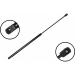 Order Lift Support by FCS AUTOMOTIVE - 86114 For Your Vehicle