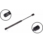 Order Lift Support by FCS AUTOMOTIVE - 86115 For Your Vehicle