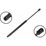 Order Lift Support by FCS AUTOMOTIVE - 86116 For Your Vehicle