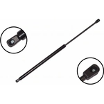 Order Lift Support by FCS AUTOMOTIVE - 86118 For Your Vehicle