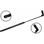 Order Lift Support by FCS AUTOMOTIVE - 86119L For Your Vehicle