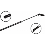 Order Lift Support by FCS AUTOMOTIVE - 86119R For Your Vehicle