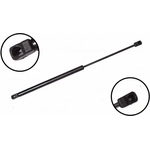 Order Lift Support by FCS AUTOMOTIVE - 86121 For Your Vehicle