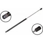 Order Lift Support by FCS AUTOMOTIVE - 86123 For Your Vehicle