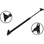 Order Lift Support by FCS AUTOMOTIVE - 86127 For Your Vehicle