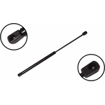 Order Lift Support by FCS AUTOMOTIVE - 86133 For Your Vehicle