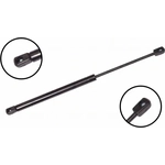 Order Lift Support by FCS AUTOMOTIVE - 86138 For Your Vehicle