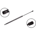 Order Lift Support by FCS AUTOMOTIVE - 86139 For Your Vehicle