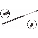 Order Lift Support by FCS AUTOMOTIVE - 86140 For Your Vehicle