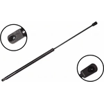 Order Lift Support by FCS AUTOMOTIVE - 86144 For Your Vehicle