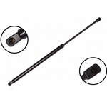 Order Lift Support by FCS AUTOMOTIVE - 86151 For Your Vehicle