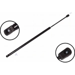 Order Lift Support by FCS AUTOMOTIVE - 86155 For Your Vehicle