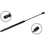 Order FCS AUTOMOTIVE - 86161 - Tailgate Lift Support For Your Vehicle