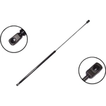 Order FCS AUTOMOTIVE - 86162 - Lift Support For Your Vehicle