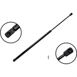 Order Lift Support by FCS AUTOMOTIVE - 86164 For Your Vehicle