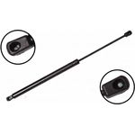 Order Lift Support by FCS AUTOMOTIVE - 86165 For Your Vehicle