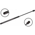 Order Lift Support by FCS AUTOMOTIVE - 86166 For Your Vehicle