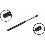 Order Lift Support by FCS AUTOMOTIVE - 86167 For Your Vehicle