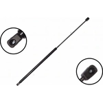 Order Lift Support by FCS AUTOMOTIVE - 86168 For Your Vehicle