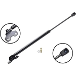 Order Lift Support by FCS AUTOMOTIVE - 86175 For Your Vehicle