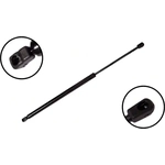 Order Lift Support by FCS AUTOMOTIVE - 86179 For Your Vehicle